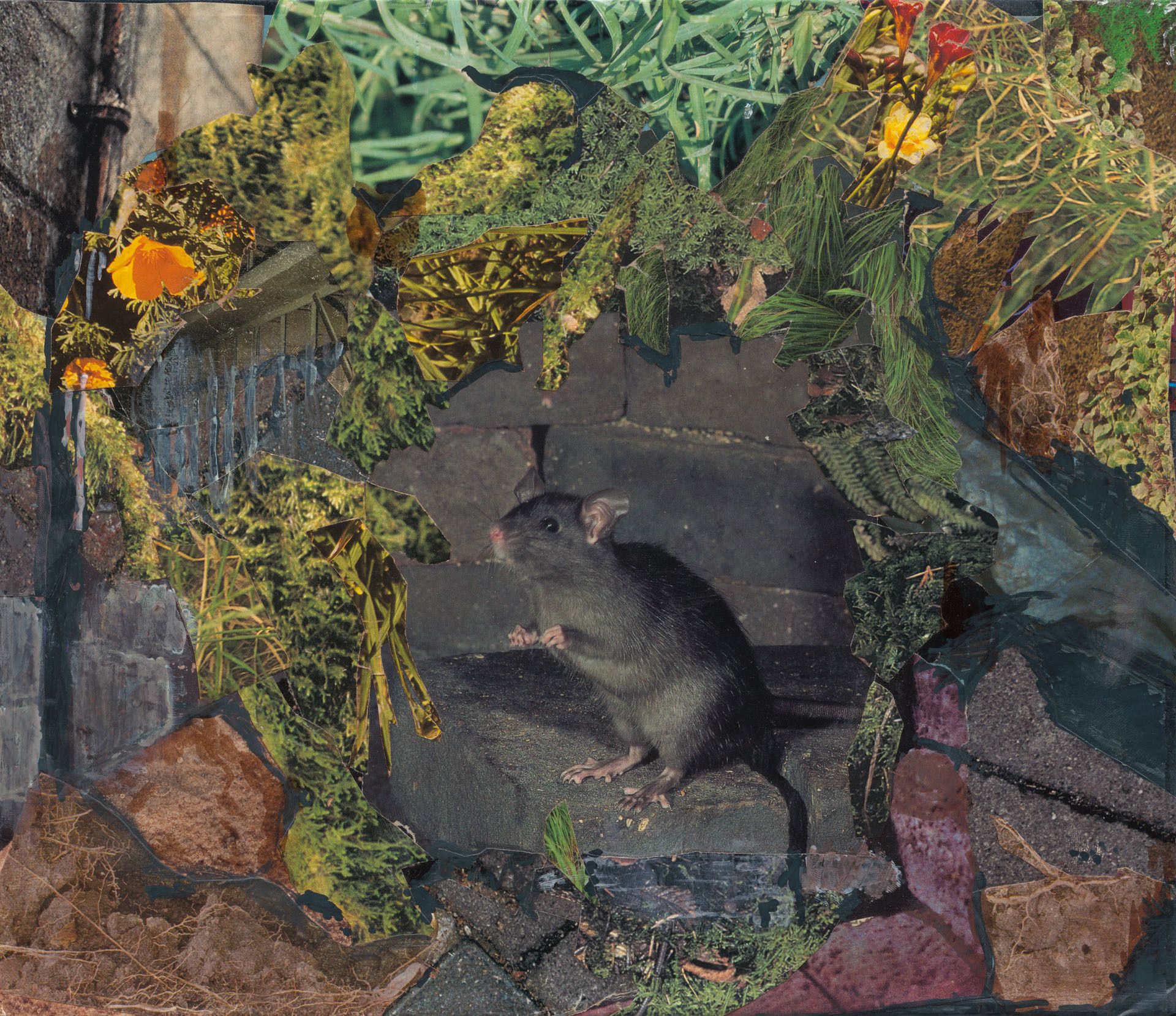 A mixed-media collage featuring a small gray rat standing on its hind legs in a central stone opening, framed by layers of torn paper scraps depicting lush green foliage, yellow flowers, and rocky textures.